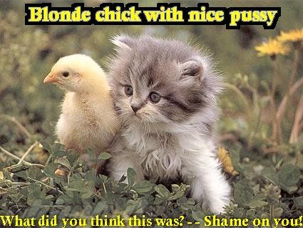 blondeChickwithnicePussy.jpg