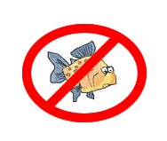 no-fishing.gif